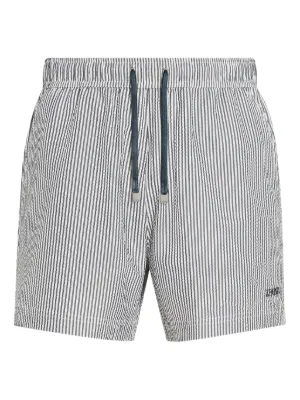 Zegna ストライプ トランクス水着 | ブルー | FARFETCH JP