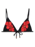 Cala de la Cruz Rio bikini top - Black