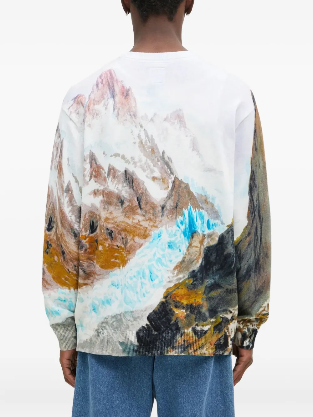 Vans Printed Crew-neck Sweater In Multi