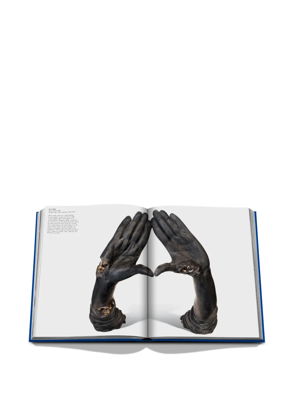 Assouline The Book Of Hov: A Tribute To Jay-z (classic) Hardcover Book In Blue