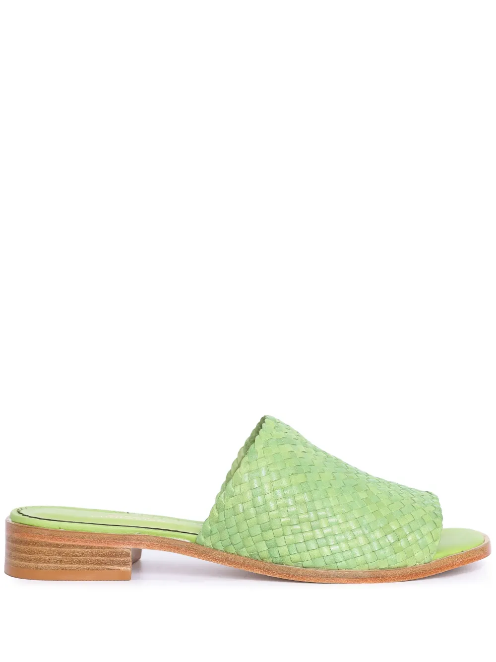 Sarah Chofakian Trama slides Green