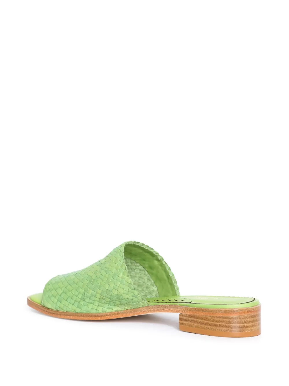 Sarah Chofakian Trama slides Green