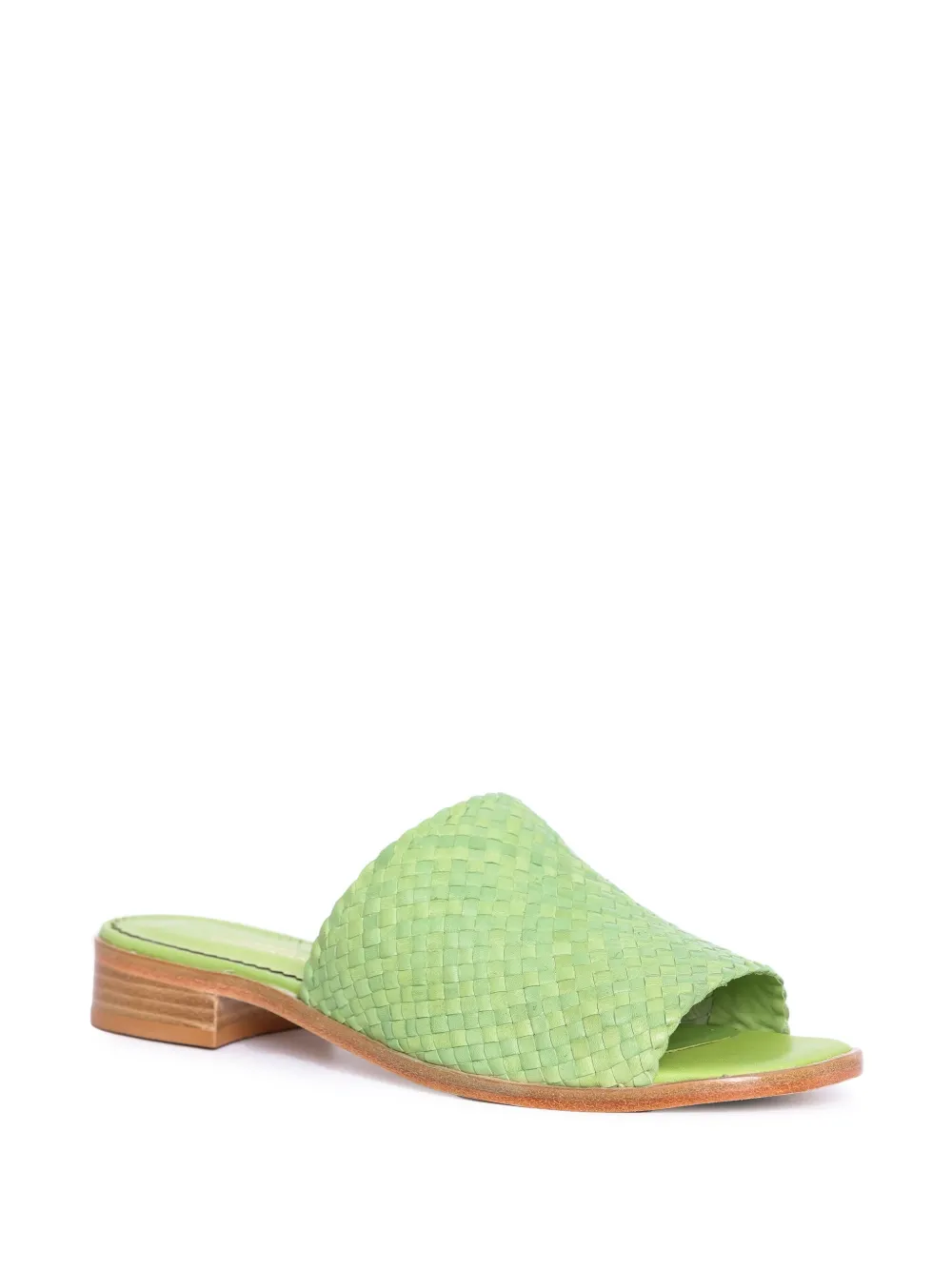 Sarah Chofakian Trama slides - Groen
