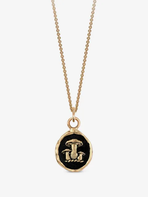 Pyrrha 14K yellow gold Earthy Talisman pendant necklace