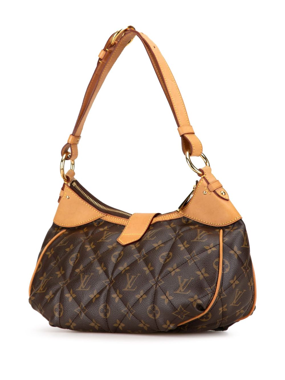 Louis Vuitton Pre-Owned 2009 Monogram Etoile City PM shoulder bag - Bruin