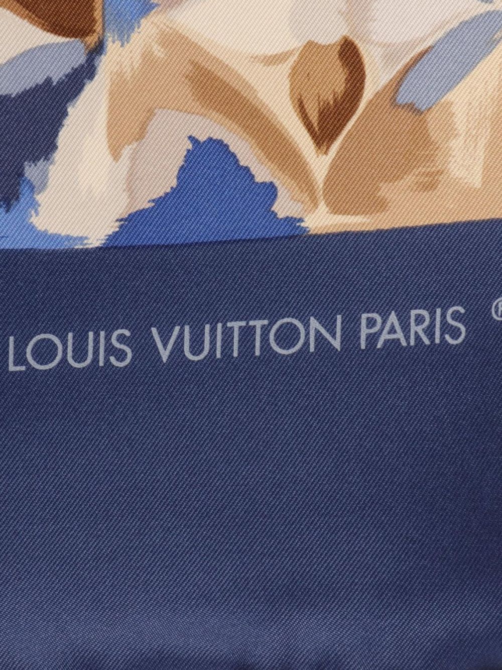 Louis Vuitton Pre-Owned 2000s Monogram scarf - Blauw