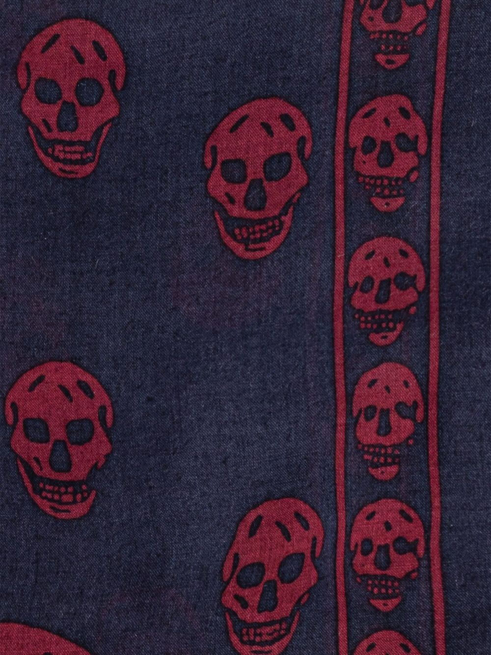 Alexander McQueen skull-print scarf - Blauw