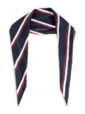 Alexander McQueen College Stripe scarf - Blue