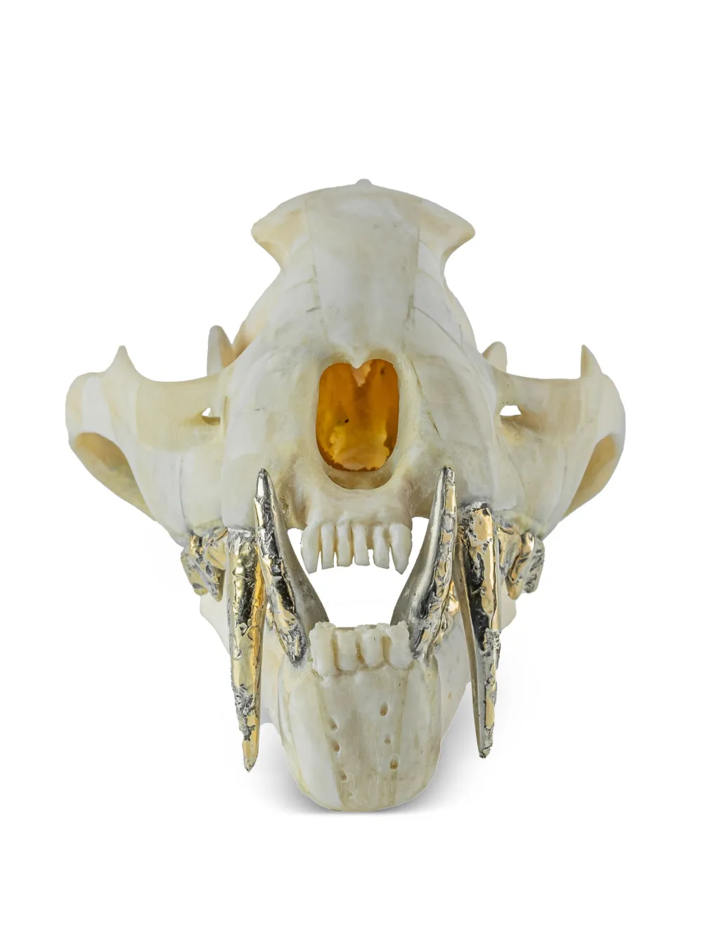 Parts of Four Leopard Skull decor - Goud