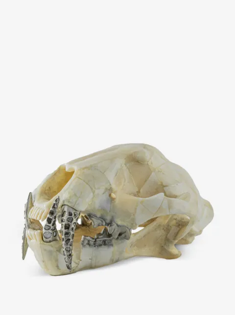 Parts of Four decoración Leopard Skull