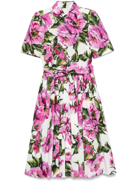 Dolce & Gabbana peonie-print cotton midi dress