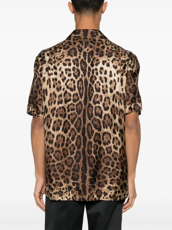 Dolce & Gabbana レオパード襟ポロシャツ 50 問屋 激安 Dolce & Gabbana レオパード襟ポロシャツ 50 【公式通販】