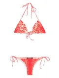 Roberto Cavalli jaguar skin-print bikini - Red