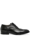 Alexander McQueen leather brogues - Black