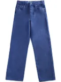 Stüssy washed canvas jeans - Blue