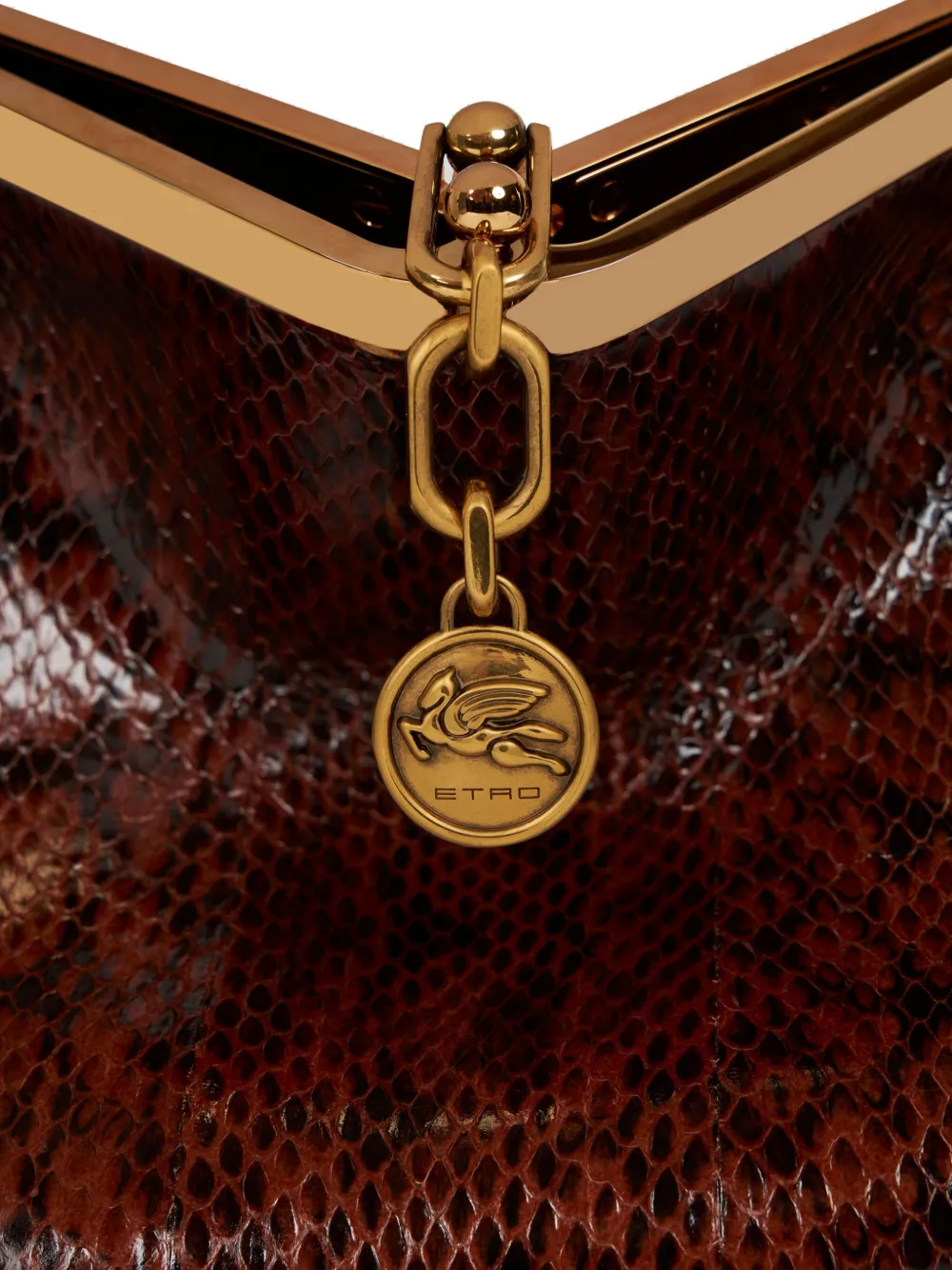 ETRO Vela raffia schoudertas Bruin