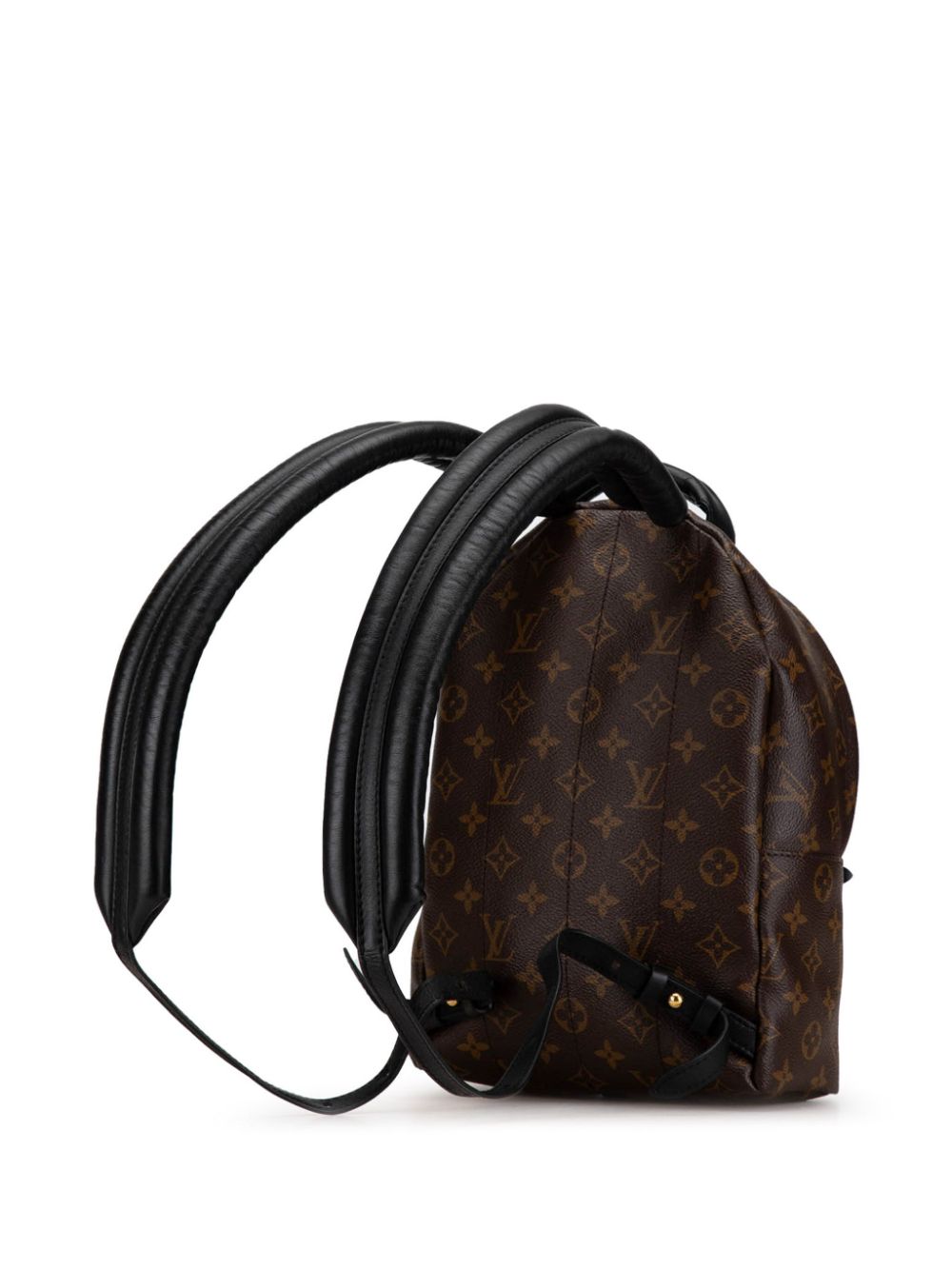 Louis Vuitton Pre-Owned 2019 Monogram Reverse Palm Springs PM backpack - Bruin