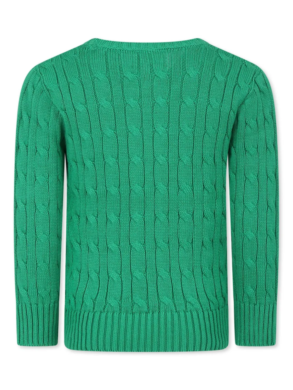 Polo Ralph Lauren Sweater  Kids Color Green In Grün