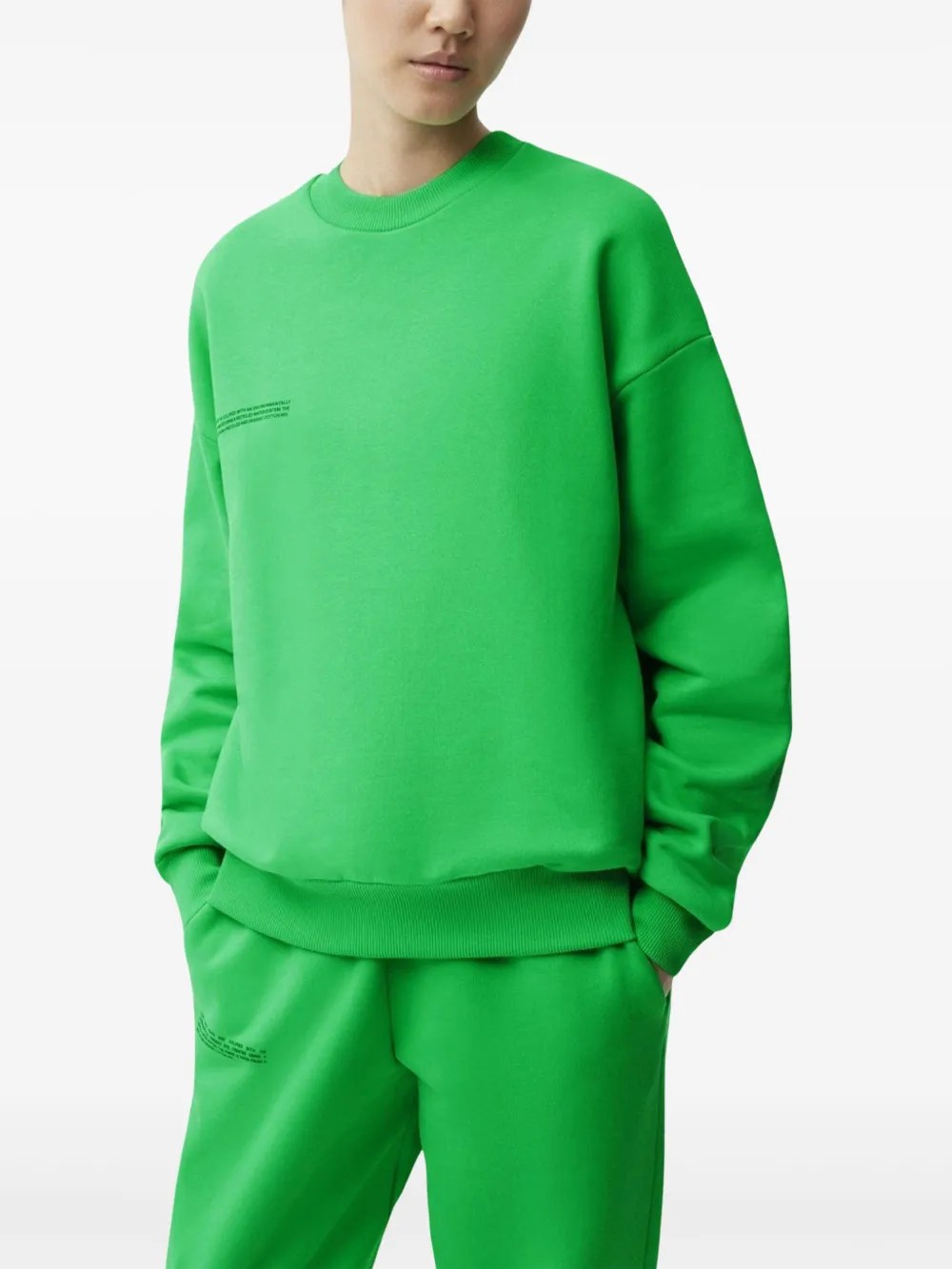 Pangaia Midweight sweatshirt - Groen