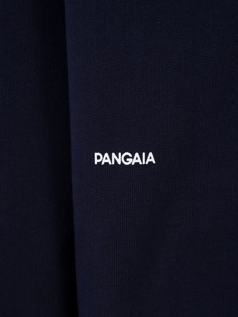 Pangaia 365 Heavyweight Cotton Hoodie In Blue