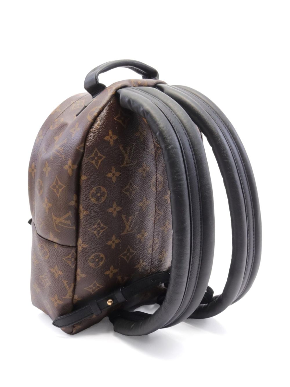 Louis Vuitton Pre-Owned 2016 Palm Springs PM rugzak - Bruin