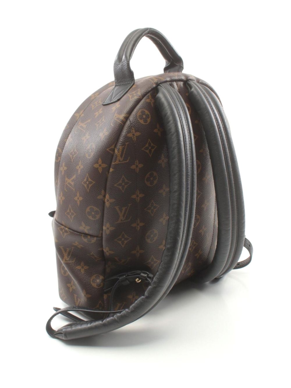 Louis Vuitton Pre-Owned 2019 Palm Springs MM backpack - Bruin