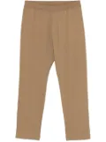 Barena ribbed trousers - Brown