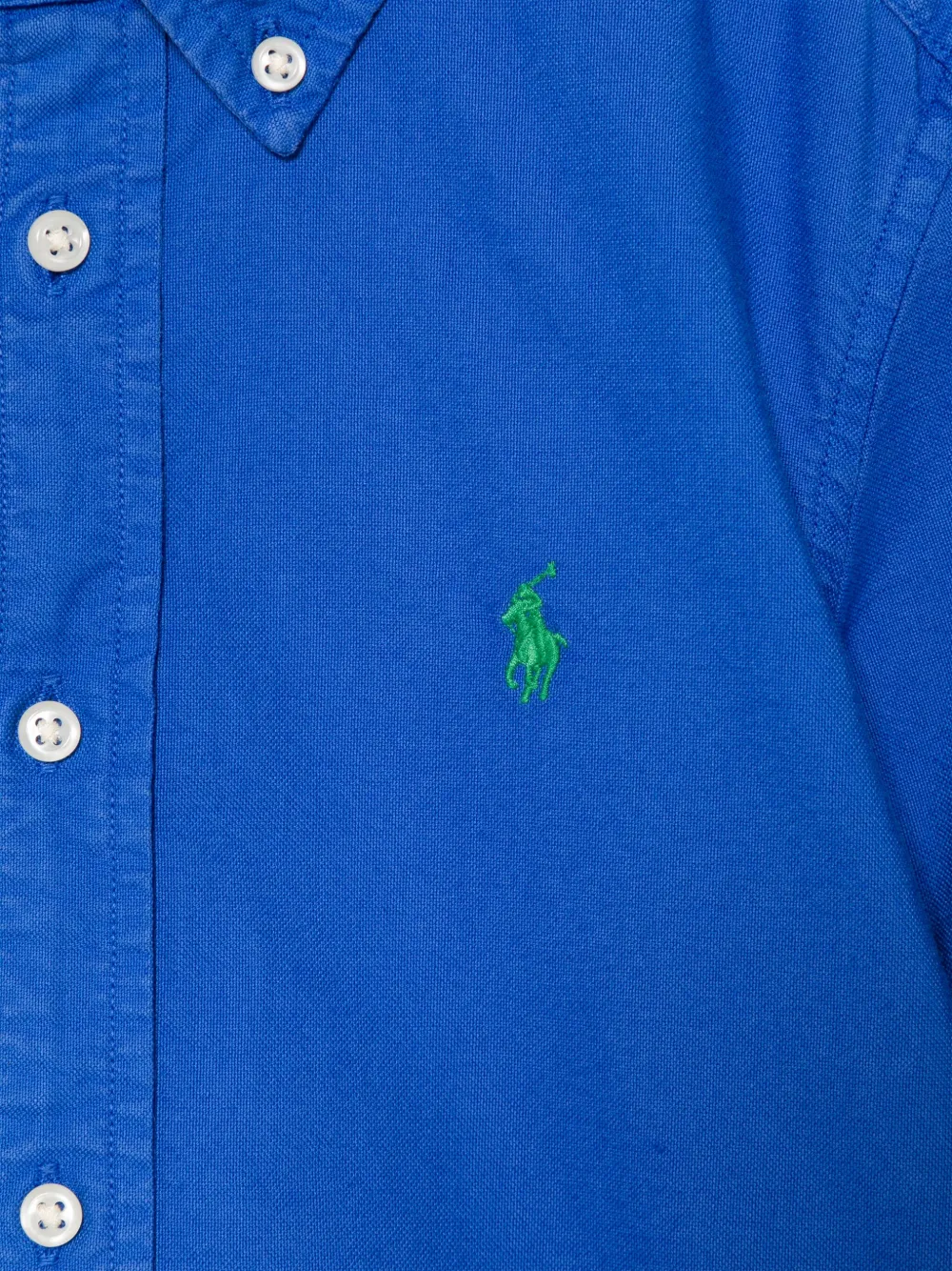POLO RALPH LAUREN KIDS Shirt met borduurwerk Blauw