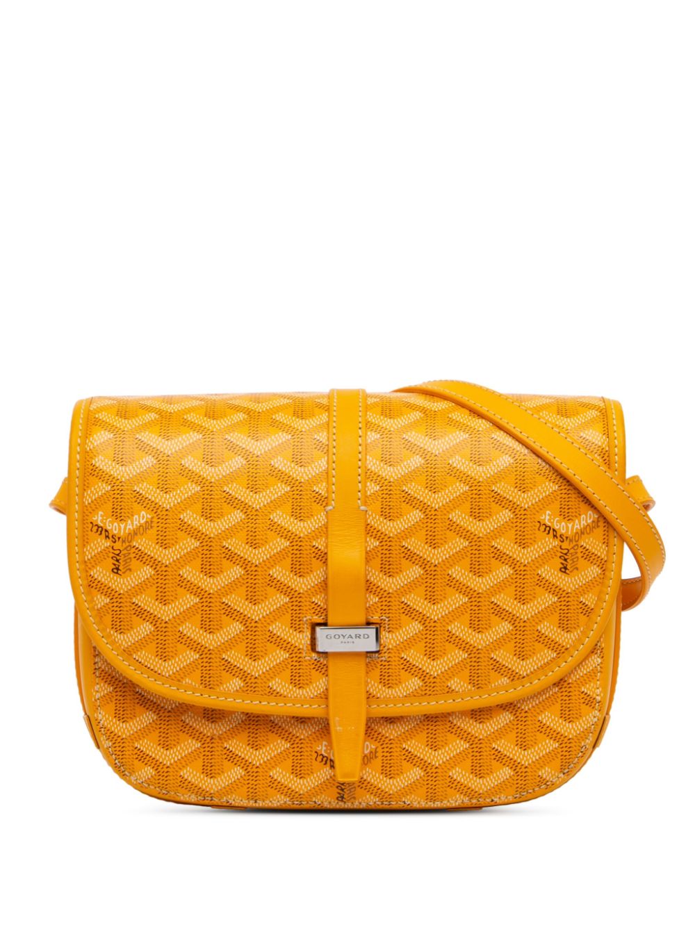 2020 Goyardine Belvedere PM crossbody bag