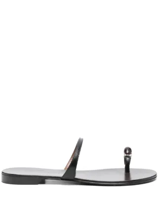 Giuseppe Zanotti
