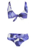 Brigitte leaf-print bikini - Blue