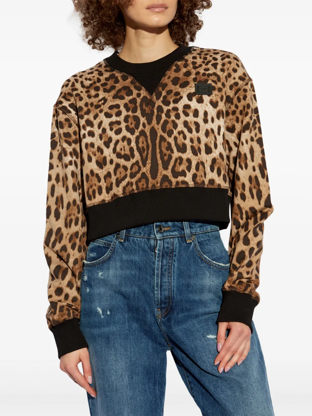 Dolce & Gabbana Leopard-print Jumper In Neutrals