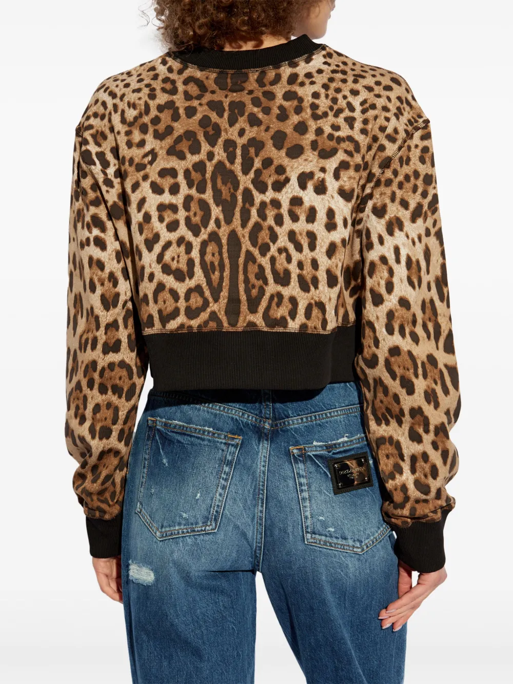 Dolce & Gabbana Leopard-print Jumper In Neutrals