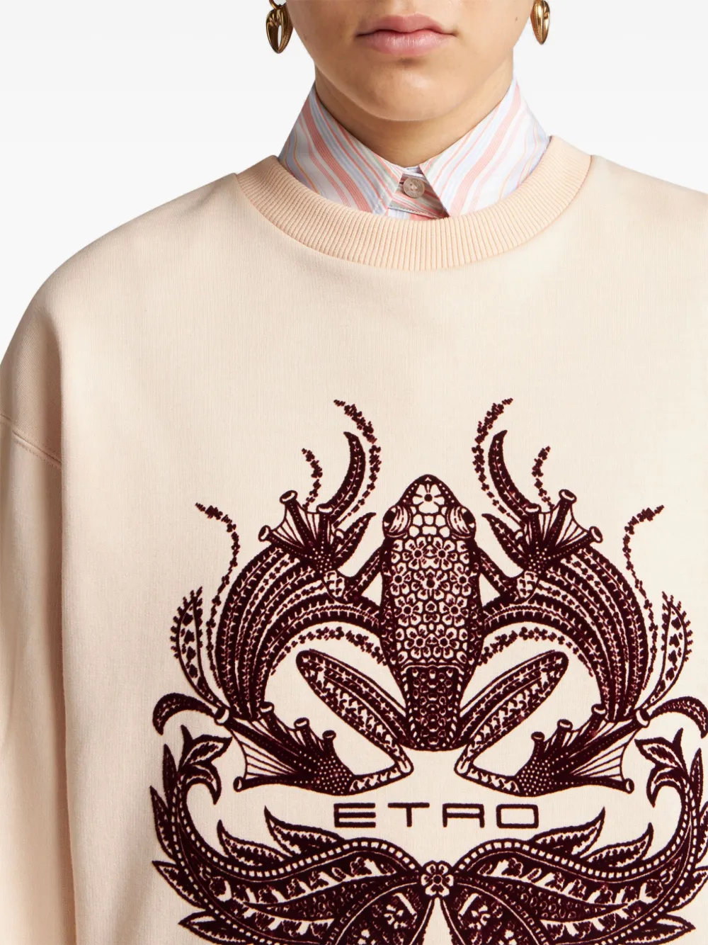 ETRO Sweater met logoprint Beige