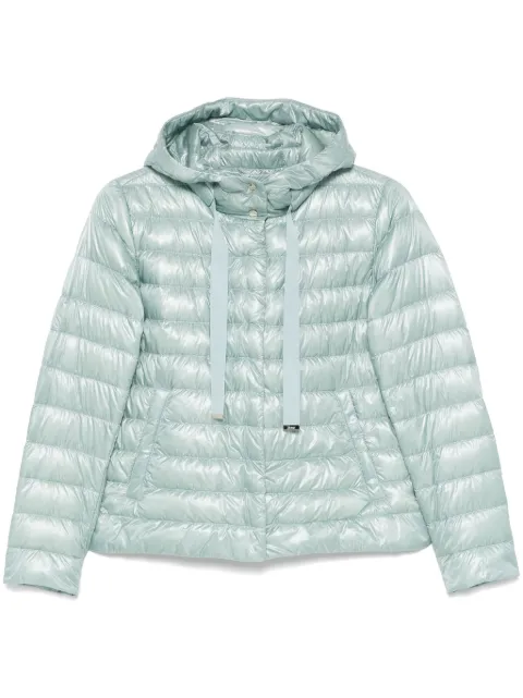 Herno padded jacket