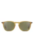 Serengeti Eyewear Delio sunglasses - Neutrals