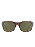 Serengeti Eyewear Chandler sunglasses - Brown