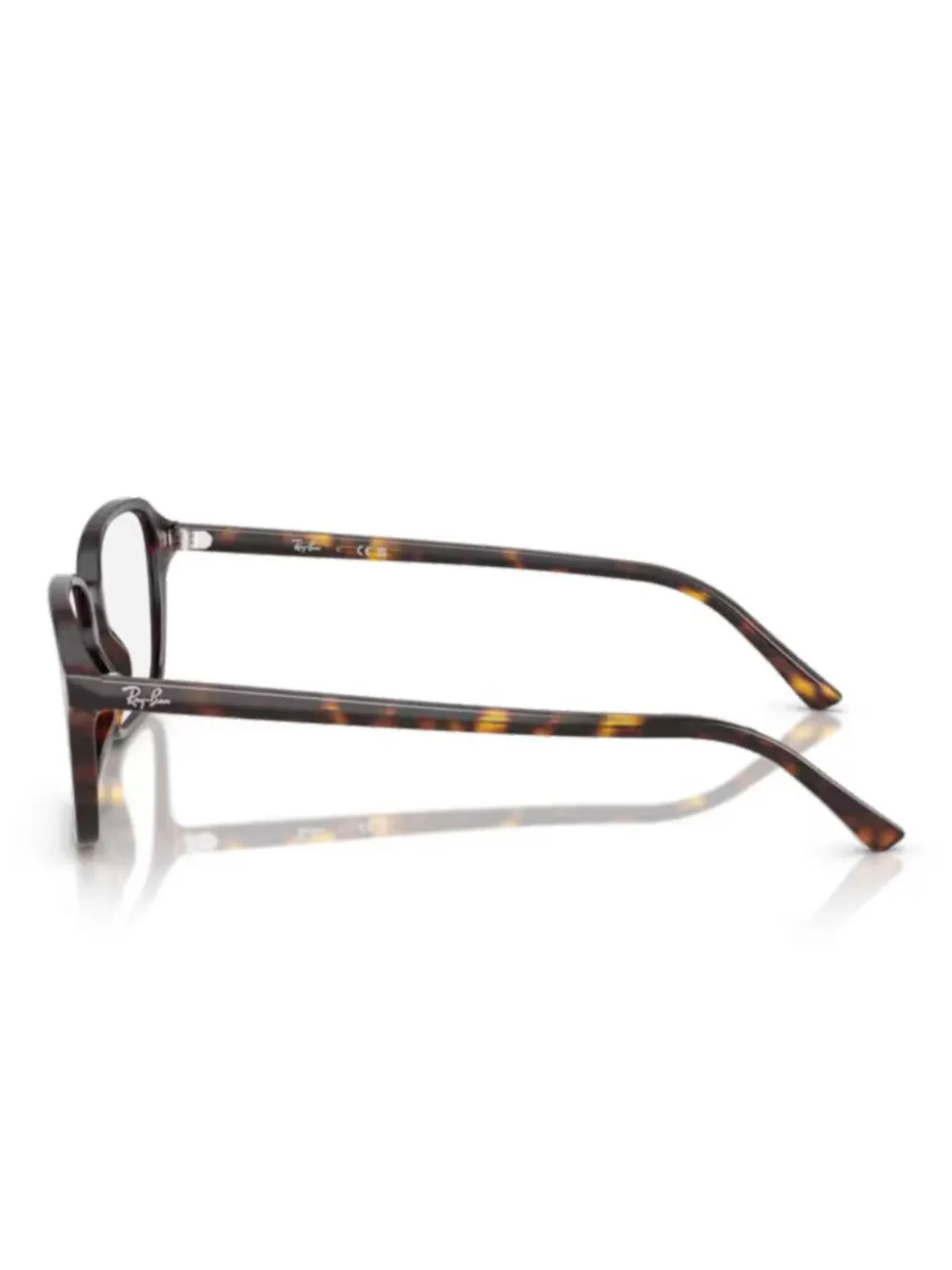 Ray Ban Ray In Brown