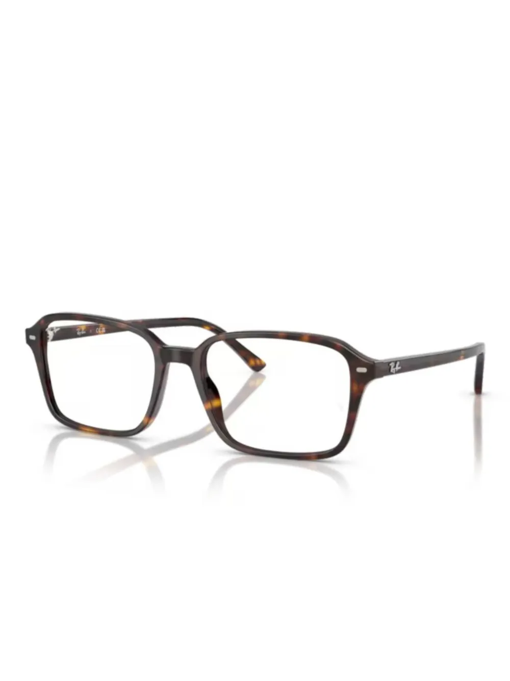 Ray Ban Ray In Brown