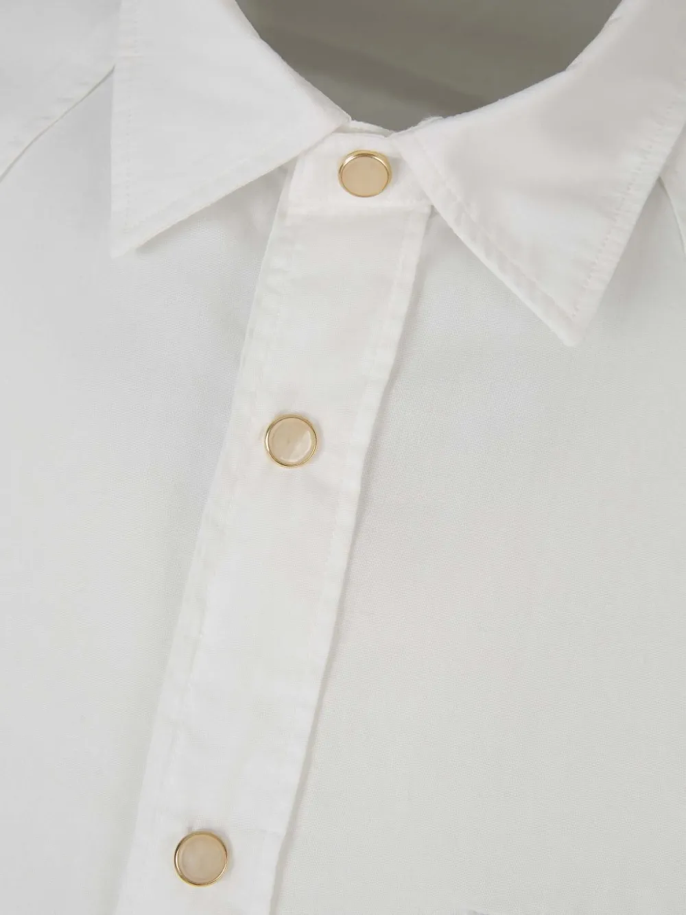 Lardini Camicia in cotone