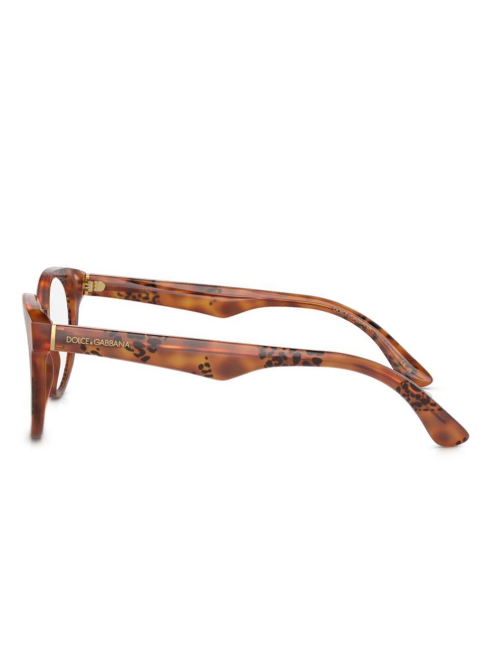 Dolce & Gabbana Eyewear Bril met rond montuur - Bruin