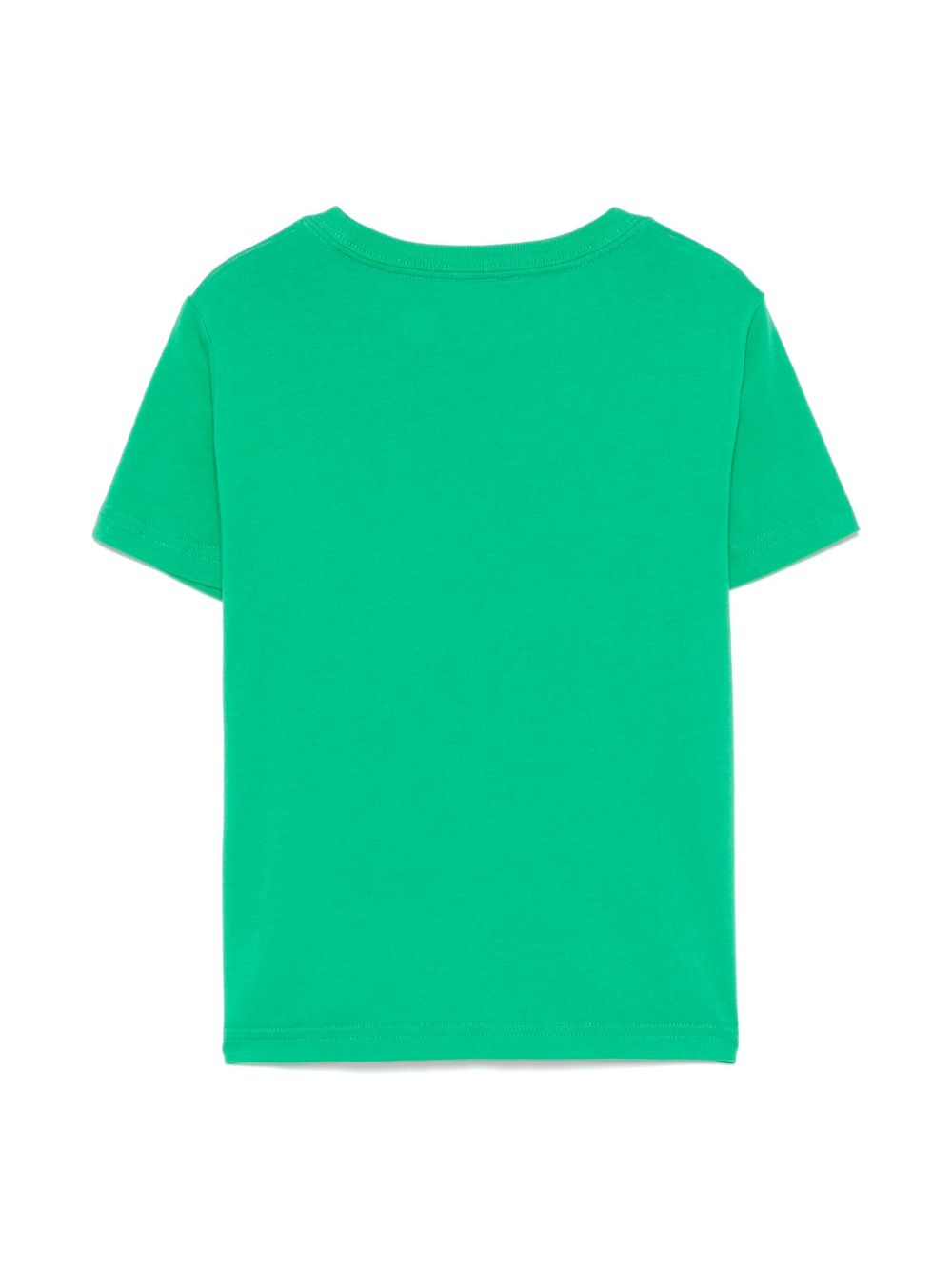 POLO RALPH LAUREN KIDS T-shirt met teddybeerprint - Groen