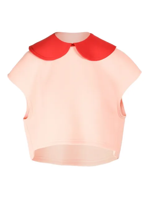 Ioana Ciolacu Orchid top