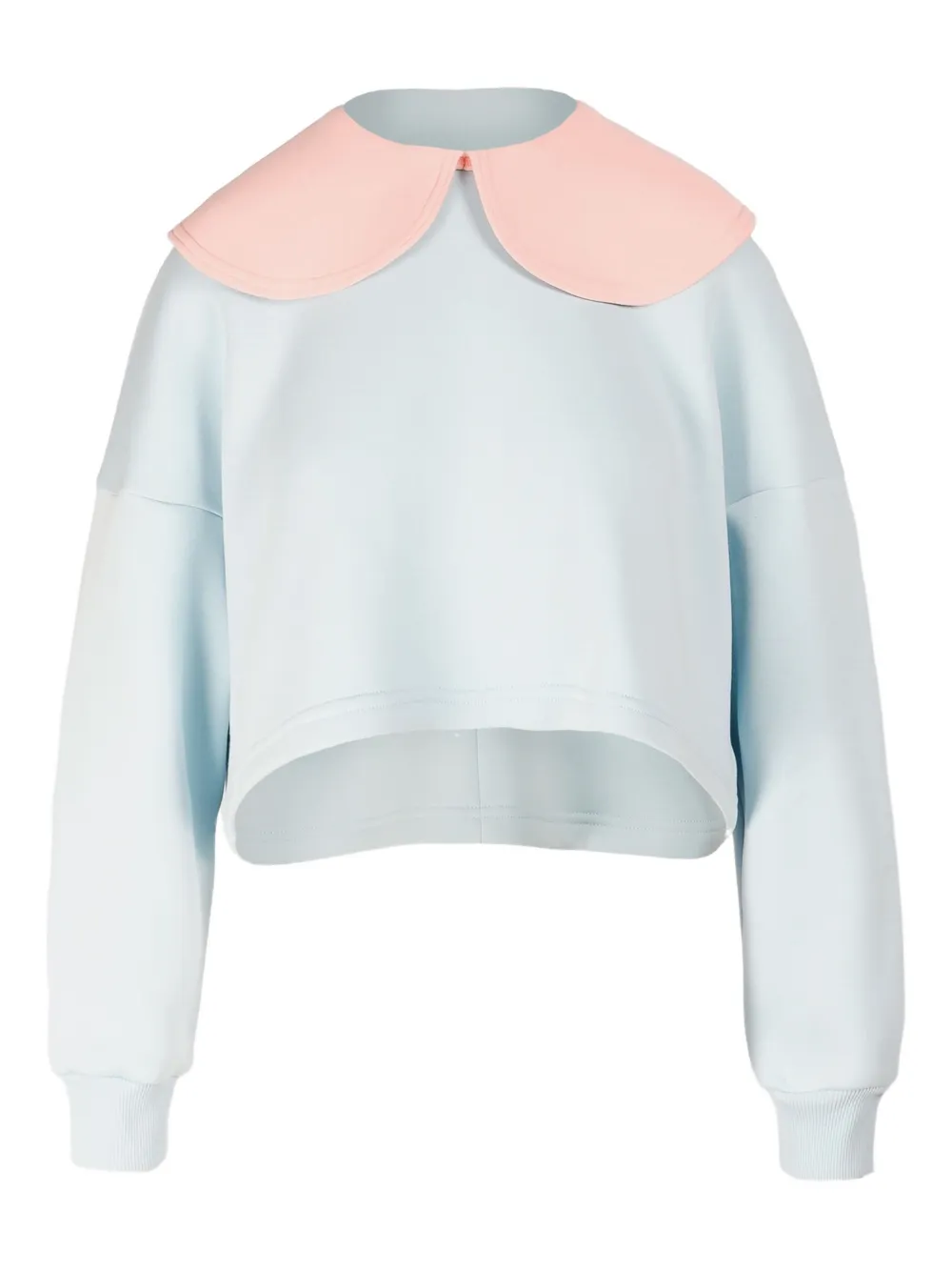 Orchid sweatshirt
