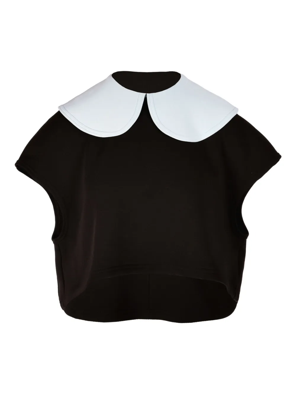 Ioana Ciolacu Orchid top