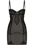 Dolce & Gabbana corset tulle mini dress - Black