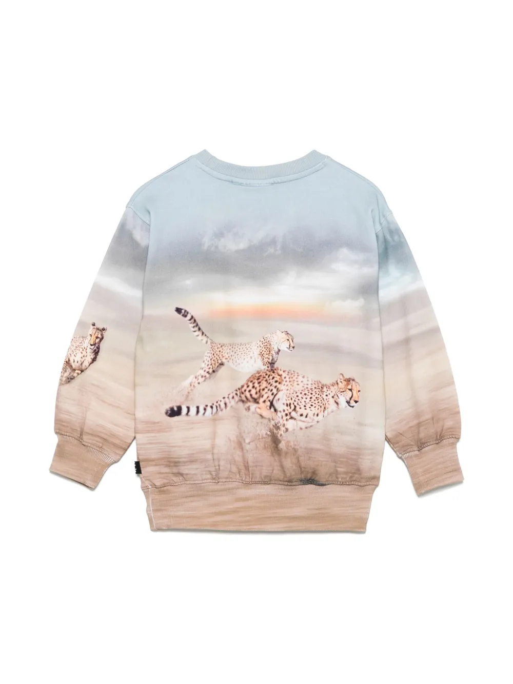 Molo sudadera Mattis | Sudaderas y hoodies | Image 2