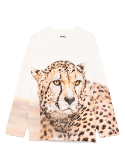 Molo playera Rollo