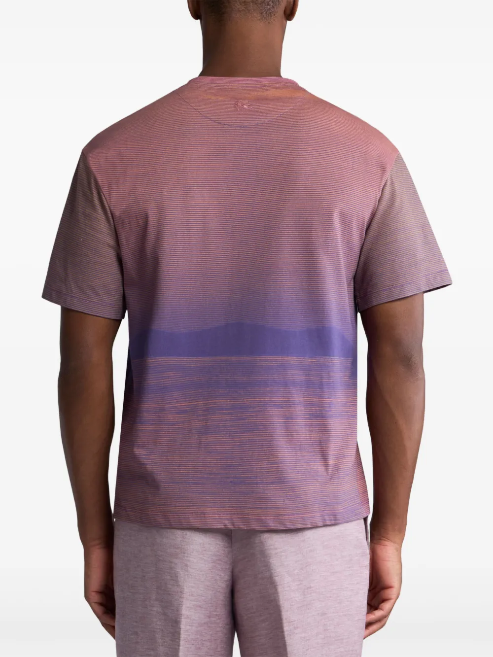 ETRO T-shirt met print Paars