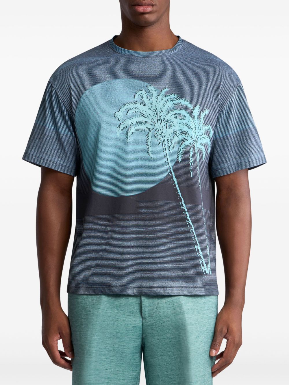 ETRO T-shirt met print - Blauw